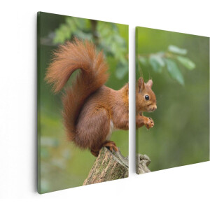 Artaza Canvas Schilderij Tweeluik Eekhoorn op een Boomstam in het Bos - 80x60 - Foto Op Canvas - Canvas Print