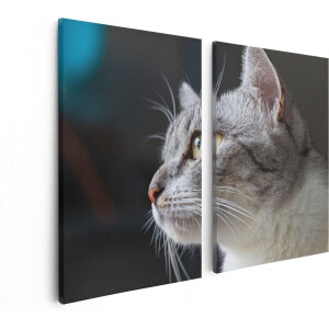 Artaza Canvas Schilderij Tweeluik Kat Met Gele Ogen Van Dichtbij - 80x60 - Foto Op Canvas - Canvas Print