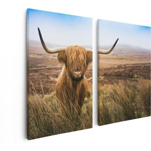 Artaza Canvas Schilderij Tweeluik Schotse Hooglander Koe In Het Veld - 80x60 - Foto Op Canvas - Canvas Print