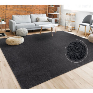 Paco Home Vloerkleed Woonkamer Effen Eenvoudig En Modern Laagpolig, Versch. Afmetingen Kleuren 80x250 cm