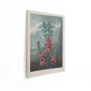 Artaza Canvas Schilderij Bloemen Schilderij - 90x120 cm - Wanddecoratie Vintage Kalmia - Muurdecoratie Roze Bloemen - Landschap Bergen