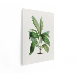 Artaza Canvas Schilderij Botanische Plant - 60x80 cm - Wanddecoratie Vintage - Muurdecoratie Groene Bladeren - Decoratie Woonkamer - Groen