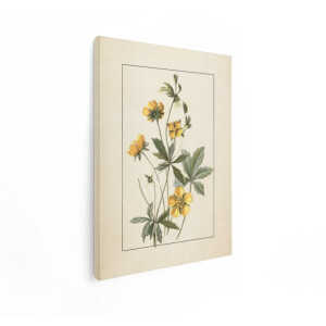 Artaza Canvas Schilderij Gele Bloemen met Groene Bladeren in Botanische Illustratiestijl - 30x40 cm - Klein - Wanddecoratie Woonkamer - Schilderijen - Muurdecoratie