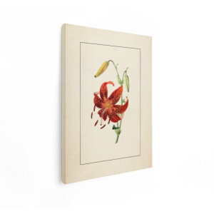 Artaza Canvas Schilderij Gevlekte Lelie - 90x120 cm - Wanddecoratie Bloemen - Muurdecoratie Botanische Illustratie - Decoratie Vintage - Rood