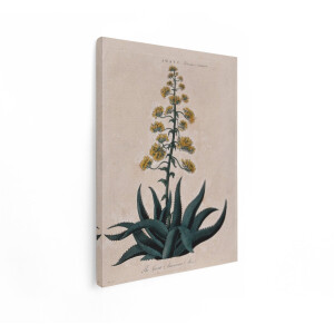 Artaza Canvas Schilderij Grote Amerikaanse Agave Plant met Bloeiende Stengel en Gele Bloemen - 90x120 cm - Groot - Wanddecoratie Woonkamer - Schilderijen - Muurdecoratie