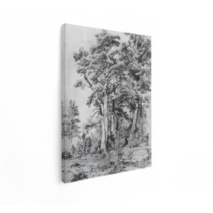 Artaza Canvas Schilderij Gedetailleerde Tekening van een Bos met Hoge Dennenbomen en Struiken - 60x80 cm - Wanddecoratie Woonkamer - Schilderijen - Muurdecoratie