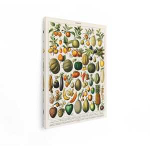 Artaza Canvas Schilderij Vintage Fruit Illustratie - 30x40 cm - Wanddecoratie Keuken - Muurdecoratie Botanisch - Schilderijen Op Canvas