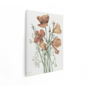 Artaza Canvas Schilderij Bloemen - 60x80 cm - Wanddecoratie Vintage - Muurdecoratie Klaprozen - Decoratie Woonkamer - Oranje