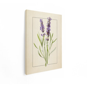 Artaza Canvas Schilderij Lavendel - 60x80 cm - Wanddecoratie Bloemen - Muurdecoratie Vintage - Decoratie Botanisch - Schilderijen Op Canvas