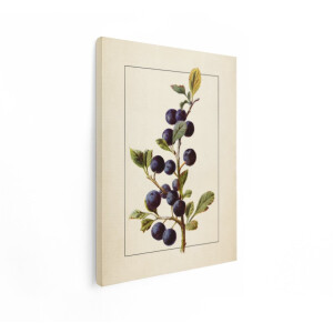 Artaza Canvas Schilderij Bessen - 90x120 cm - Botanische Wanddecoratie Vintage - Muurdecoratie Fruit - Decoratie Woonkamer