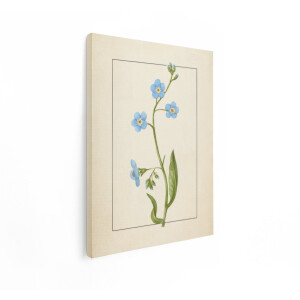 Artaza Canvas Schilderij Vergeet-Mij-Nietjes - 90x120 cm - Wanddecoratie Bloemen - Muurdecoratie Vintage - Schilderijen Op Canvas - Blauw