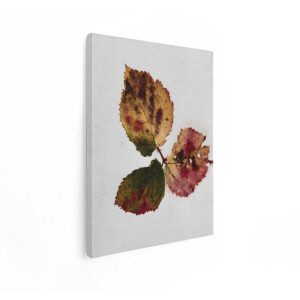 Artaza Canvas Schilderij Herfst - 30x40 cm - Wanddecoratie Botanisch Blad - Muurdecoratie Natuur - Vintage Schilderijen Op Canvas