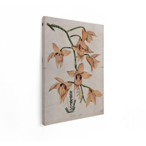 Artaza Canvas Schilderij Vintage Schilderij - 30x40 cm - Wanddecoratie Bloemen - Muurdecoratie Orchidee - Decoratie Brocante