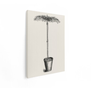 Artaza Canvas Schilderij Klimop Boompje - 30x40 cm - Wanddecoratie Plant - Muurdecoratie Brocante - Decoratie Vintage - Kamer Accessoires