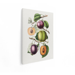 Artaza Canvas Schilderij Pruimen - 90x120 cm - Wanddecoratie Botanisch - Muurdecoratie Fruit - Decoratie Vintage Keuken