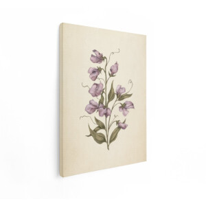 Artaza Canvas Schilderij Gedetailleerde Illustratie van Paarse Lathyrusbloemen met Bladeren op een Crèmekleurige Achtergrond - 30x40 cm - Klein - Wanddecoratie Woonkamer - Schilderijen - Muurdecoratie