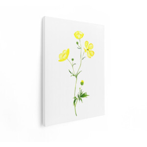 Artaza Canvas Schilderij Gele Boterbloemen in Aquarel - een Delicate Weergave van de Natuur - 90x120 cm - Groot - Wanddecoratie Woonkamer - Schilderijen - Muurdecoratie