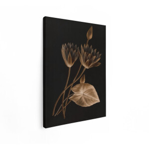 Artaza Canvas Schilderij Vintage Sepia Illustratie van Waterlelies en een Blad tegen een Donkere Achtergrond - 30x40 cm - Klein - Wanddecoratie Woonkamer - Schilderijen - Muurdecoratie