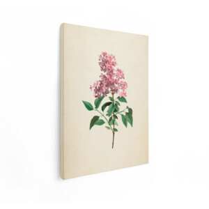 Artaza Canvas Schilderij Bloemen - 30x40 cm - Vintage Muurdecoratie Sering - Wanddecoratie Botanisch - Schilderijen Op Canvas
