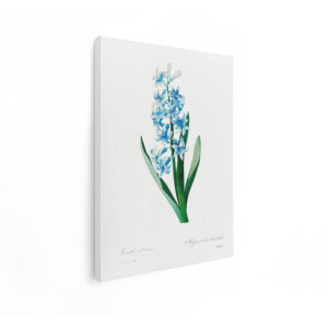 Artaza Canvas Schilderij Blauwe Hyacint - 90x120 cm - Wanddecoratie Bloemen - Muurdecoratie Vintage Botanisch - Decoratie Woonkamer
