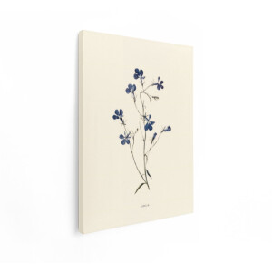Artaza Canvas Schilderij Lobelia Bloem - 90x120 cm - Wanddecoratie Vintage Botanisch - Muurdecoratie Bloemen - Decoratie Blauw