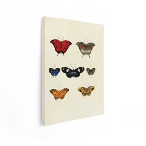 Artaza Canvas Schilderij Vintage Illustratie van Diverse Vlindersoorten met hun Wetenschappelijke Labels - 60x80 cm - Wanddecoratie Woonkamer - Schilderijen - Muurdecoratie