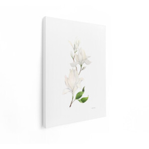 Artaza Canvas Schilderij Magnolia - 90x120 cm - Wanddecoratie Witte Bloesem - Muurdecoratie Bloemen - Decoratie Woonkamer Aquarel
