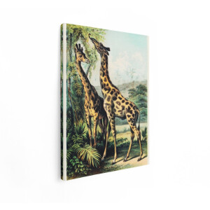 Artaza Canvas Schilderij Giraffe - 60x80 cm - Wanddecoratie Dieren - Muurdecoratie Vintage - Decoratie Natuur Woonkamer - Schilderijen Op Canvas
