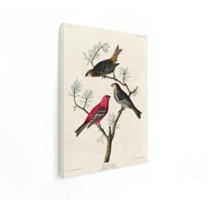 Artaza Canvas Schilderij Vogels - 90x120 cm - Wanddecoratie Vintage - Muurdecoratie Natuur - Schilderijen Op Canvas Dieren - Rood