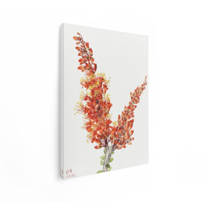 Artaza Canvas Schilderij Ocotillo - 60x80 cm - Wanddecoratie Bloemen - Muurdecoratie Vintage - Decoratie Plant Oranje