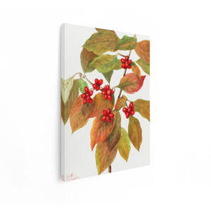 Artaza Canvas Schilderij Botanisch - 60x80 cm - Wanddecoratie Vintage - Muurdecoratie Herfstbladeren - Decoratie Rode Bessen - Schilderijen Natuur