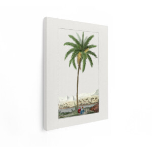 Artaza Canvas Schilderij Dadelpalm Egypte - 90x120 cm - Vintage Wanddecoratie Piramides - Muurdecoratie Nijl Landschap - Botanisch Schilderij