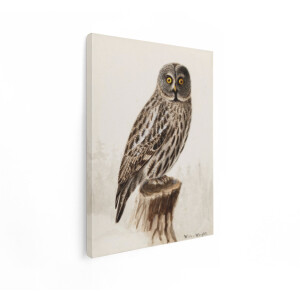 Artaza Canvas Schilderij Grote Grijze Uil met Gele Ogen Zittend op een Boomstronk in een Bosrijke Omgeving - 60x80 cm - Wanddecoratie Woonkamer - Schilderijen - Muurdecoratie