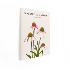 Artaza Canvas Schilderij Botanische Illustratie van Echinacea-Bloemen in een Verzamelingsserie - 90x120 cm - Groot - Wanddecoratie Woonkamer - Schilderijen - Muurdecoratie