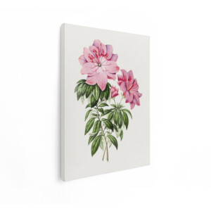 Artaza Canvas Schilderij Roze Bloemen - 30x40 cm - Wanddecoratie Azalea - Muurdecoratie Vintage Botanisch - Decoratie Woonkamer - Kamer Accessoires