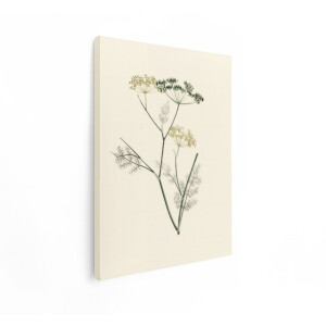 Artaza Canvas Schilderij Bloemen - 30x40 cm - Wanddecoratie Dille Plant - Muurdecoratie Landelijk - Schilderijen Kruiden Vintage