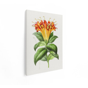 Artaza Canvas Schilderij Bloemen - 90x120 cm - Wanddecoratie Botanische Illustratie - Muurdecoratie Vintage - Decoratie Woonkamer Oranje