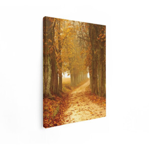 Artaza Canvas Schilderij Herfstlandschap - 30x40 cm - Wanddecoratie Bomen - Muurdecoratie Mistig Bos - Schilderijen Op Canvas Natuur