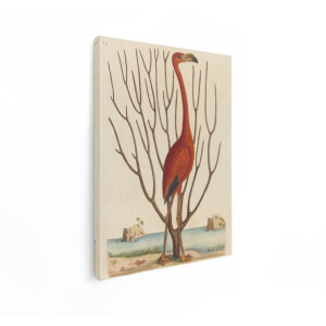 Artaza Canvas Schilderij Flamingo - 90x120 cm - Wanddecoratie Vogels - Muurdecoratie Vintage - Schilderijen Dieren Landschap