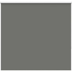 vidaXL - Rolgordijn - verduisterend - 160x150 - cm - stofbreedte - 156,6 - cm - grijs