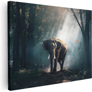 Artaza Canvas Schilderij Olifant In Het Bos Met Zonneschijn - 40x30 - Klein - Foto Op Canvas - Canvas Print