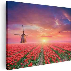 Artaza Canvas Schilderij Rode Rozen Bloemenveld Met Een Windmolen - 80x60 - Foto Op Canvas - Canvas Print