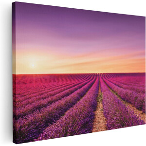Artaza Canvas Schilderij Paarse Lavendel Bloemenveld - 80x60 - Foto Op Canvas - Canvas Print