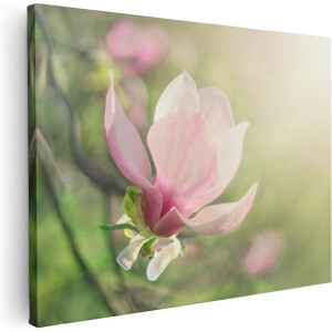 Artaza Canvas Schilderij Roze Magnolia Bloem  - 40x30 - Klein - Foto Op Canvas - Canvas Print