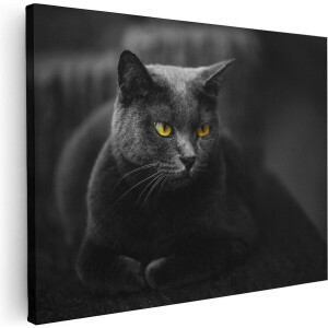 Artaza Canvas Schilderij Zwarte Kat Met Gele Ogen - 40x30 - Klein - Foto Op Canvas - Canvas Print