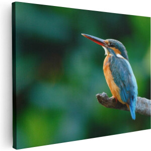 Artaza Canvas Schilderij Blauw Oranje IJsvogel Op Een Tak - 80x60 - Foto Op Canvas - Canvas Print