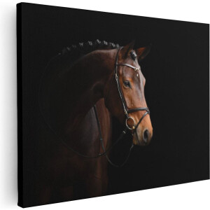 Artaza Canvas Schilderij Bruin Paard Op Een Zwart Achtergrond - 80x60 - Foto Op Canvas - Canvas Print