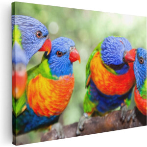 Artaza Canvas Schilderij Vier Regenboog Lori Vogels Op Een Tak - 40x30 - Klein - Foto Op Canvas - Canvas Print