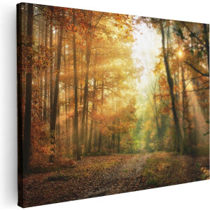 Artaza Canvas Schilderij Herfstbos Met Zonneschijn - 40x30 - Klein - Foto Op Canvas - Canvas Print