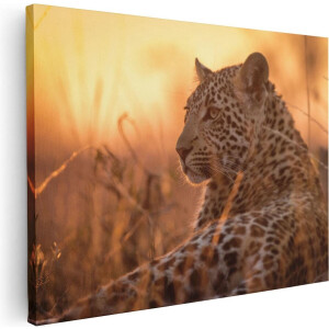 Artaza Canvas Schilderij Luipaard Zonsondergang - 40x30 cm - Klein - Wanddecoratie Afrika - Muurdecoratie Dieren - Kamer Accessoires